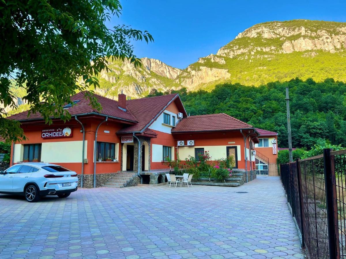 Pensiunea Orhideea Baile Herculane Exterior photo